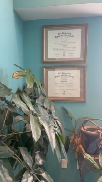 Diplomas framed above a lush green plant