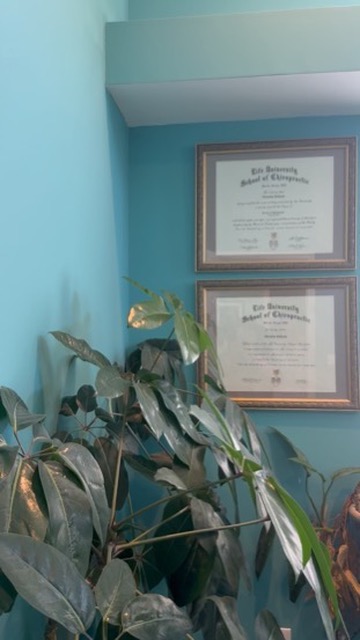 Framed Life University School of Chiropractic diplomas on a teal wall